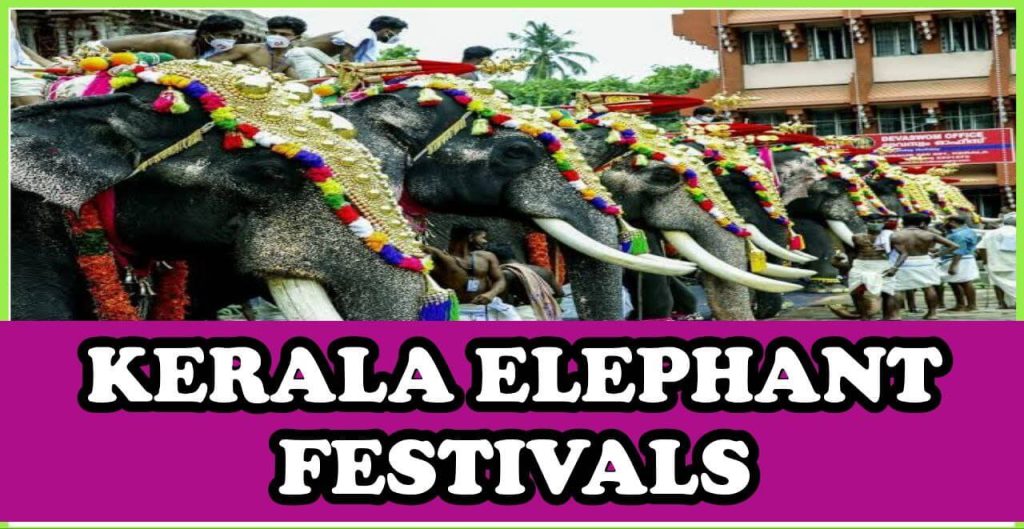 Kerala Elephant Names heights list