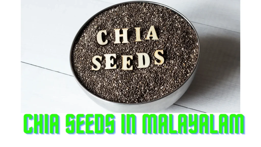 Chia Seeds in Malayalam